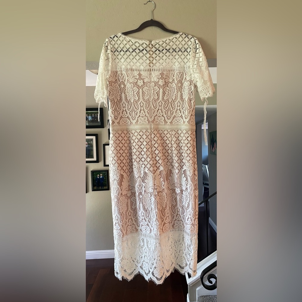 Tadashi Shoji knee length lace dress with nude lining.